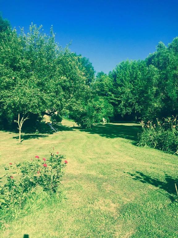 Le Coq En Pate Bed and Breakfast Péronne Rum bild